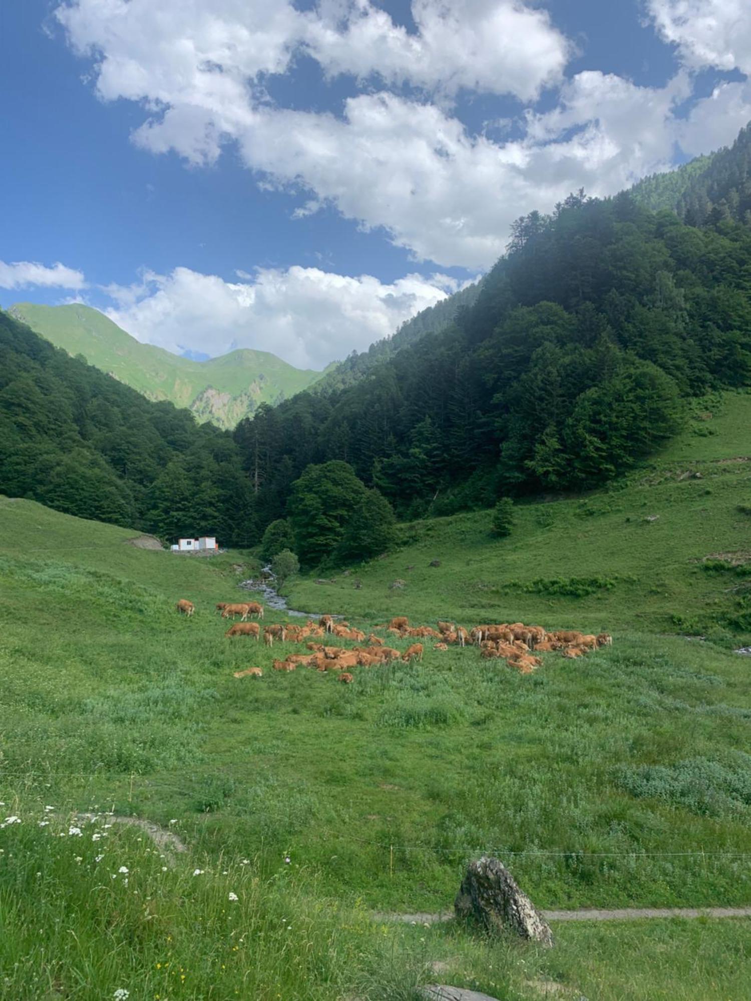 Appartement 2 Personnes Cures Ski Luchon Bagnères-de-Luchon Esterno foto